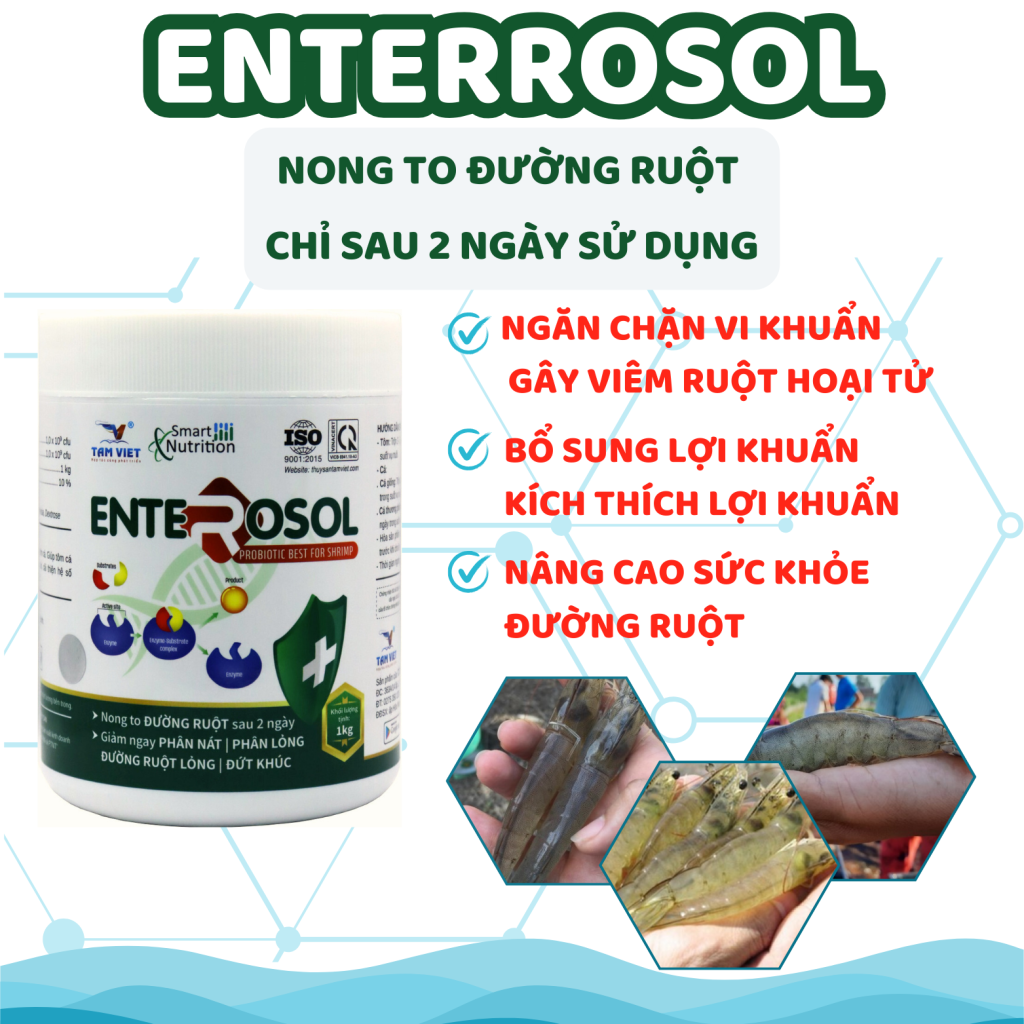 ENTEROSOL