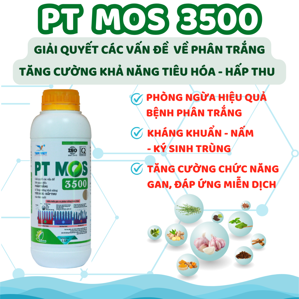 PT MOS 3500