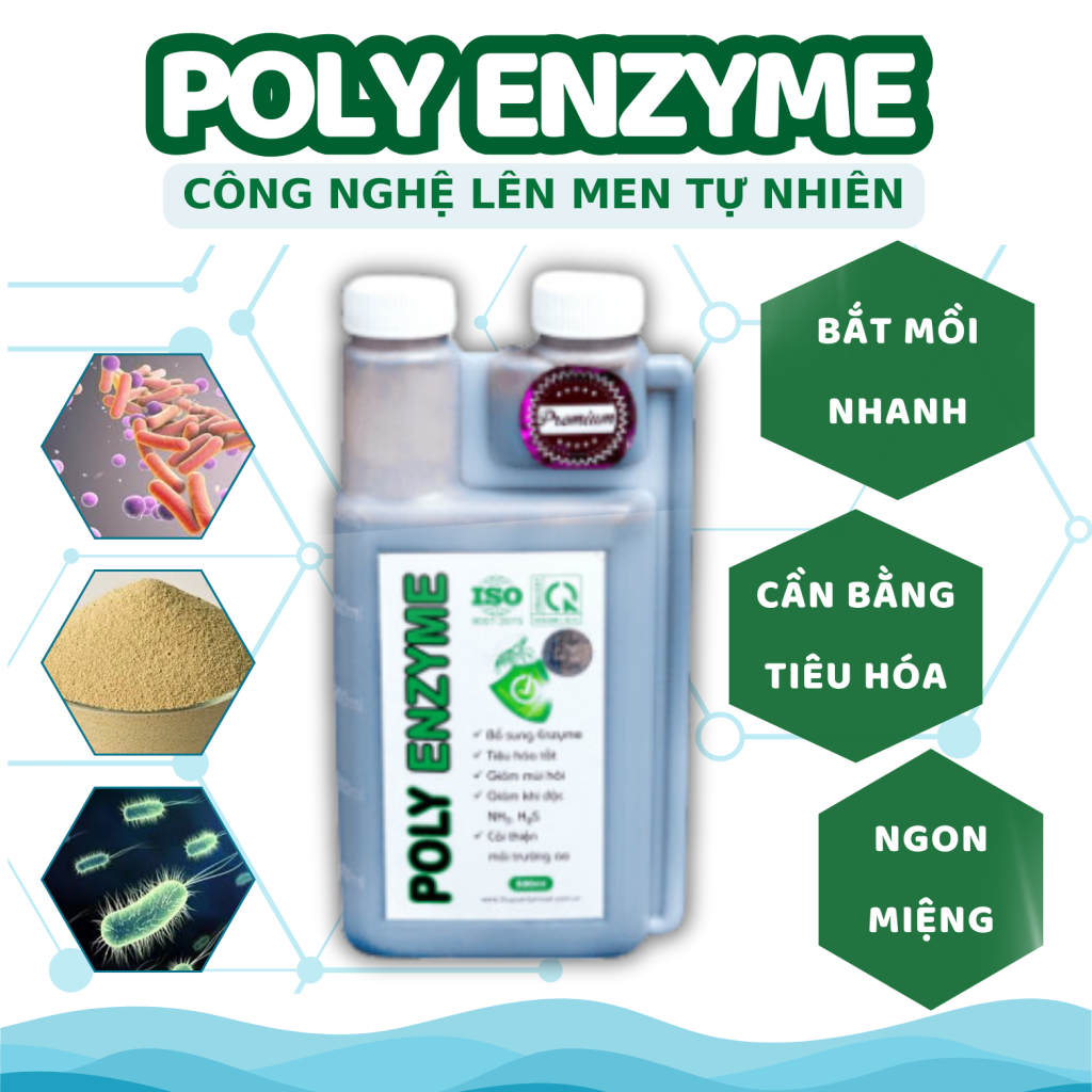 POLY ENZYME