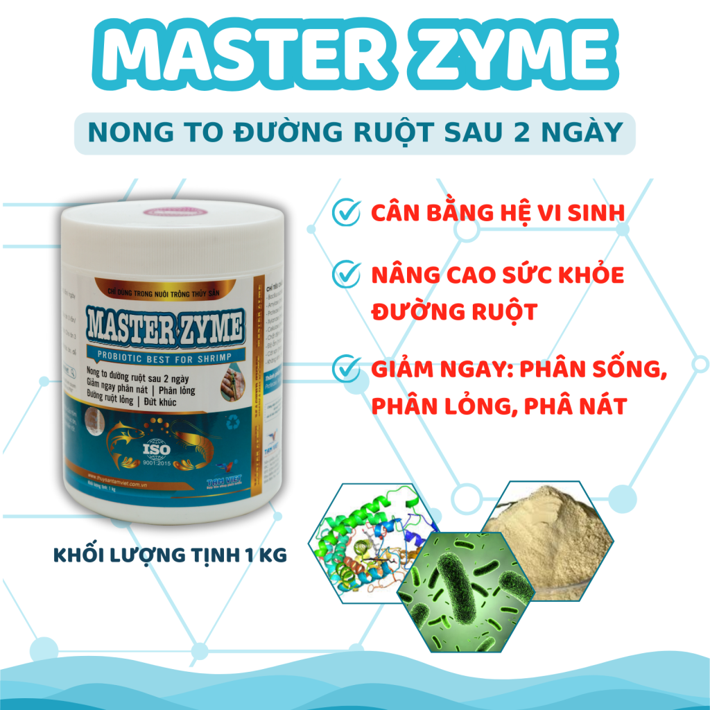 MASTER ZYME