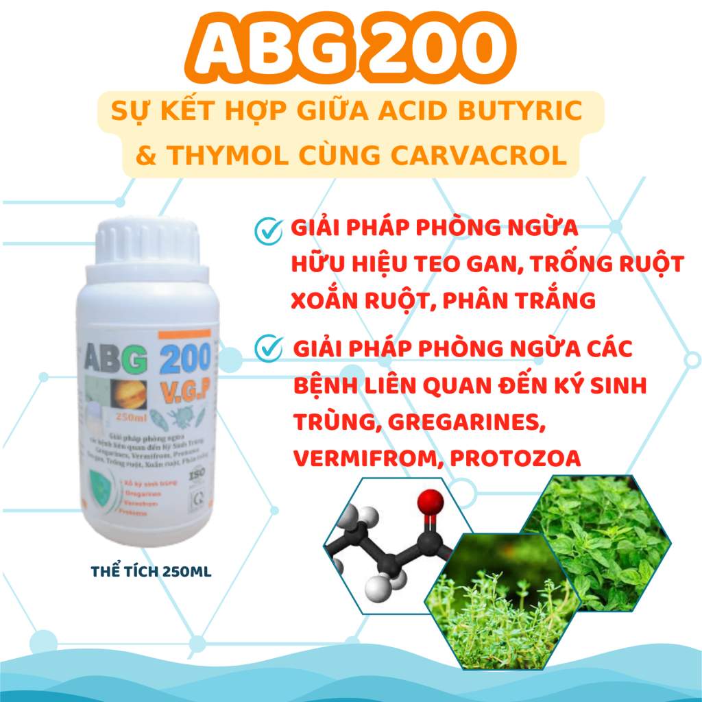 ABG 200