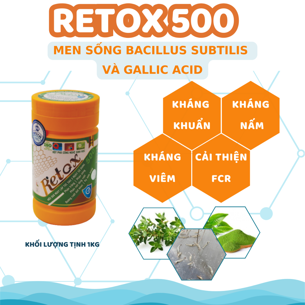 RETOX 500