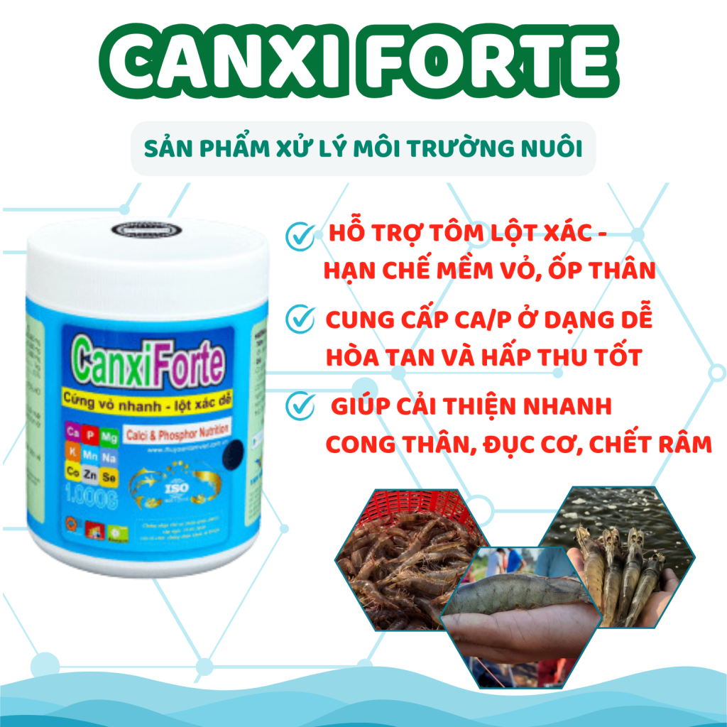 CANXI FORTE