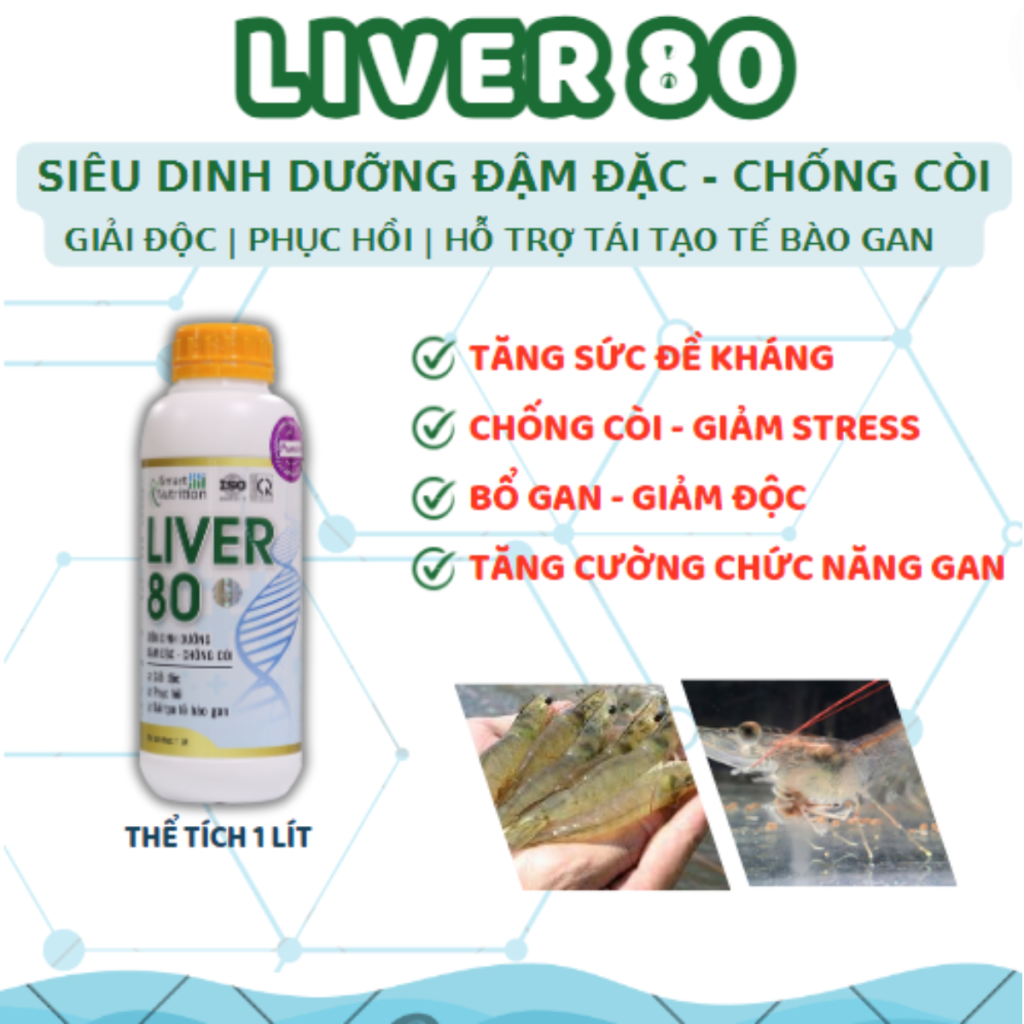 LIVER 80