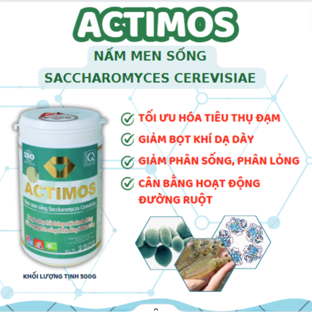 ACTIMOS