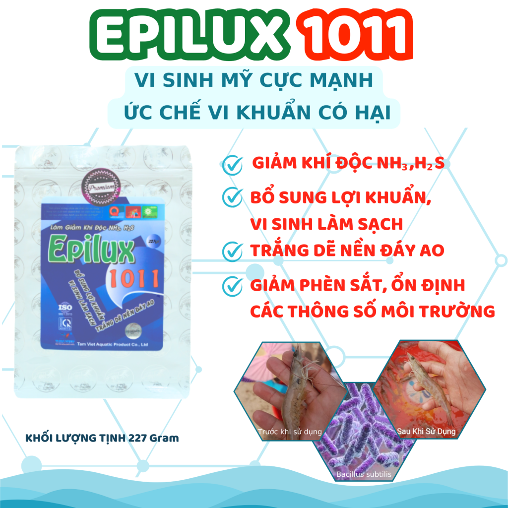 EPILUX 1011