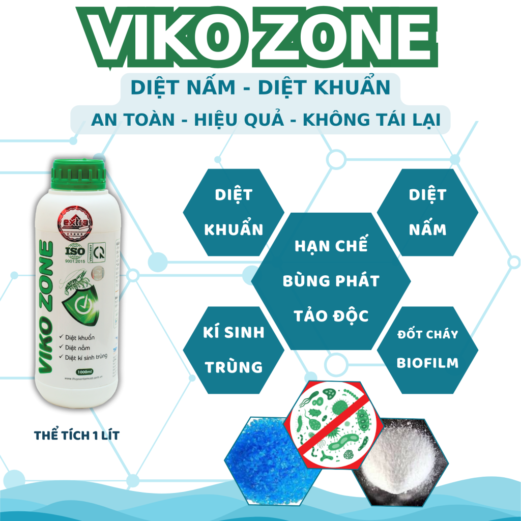 VIKO ZONE