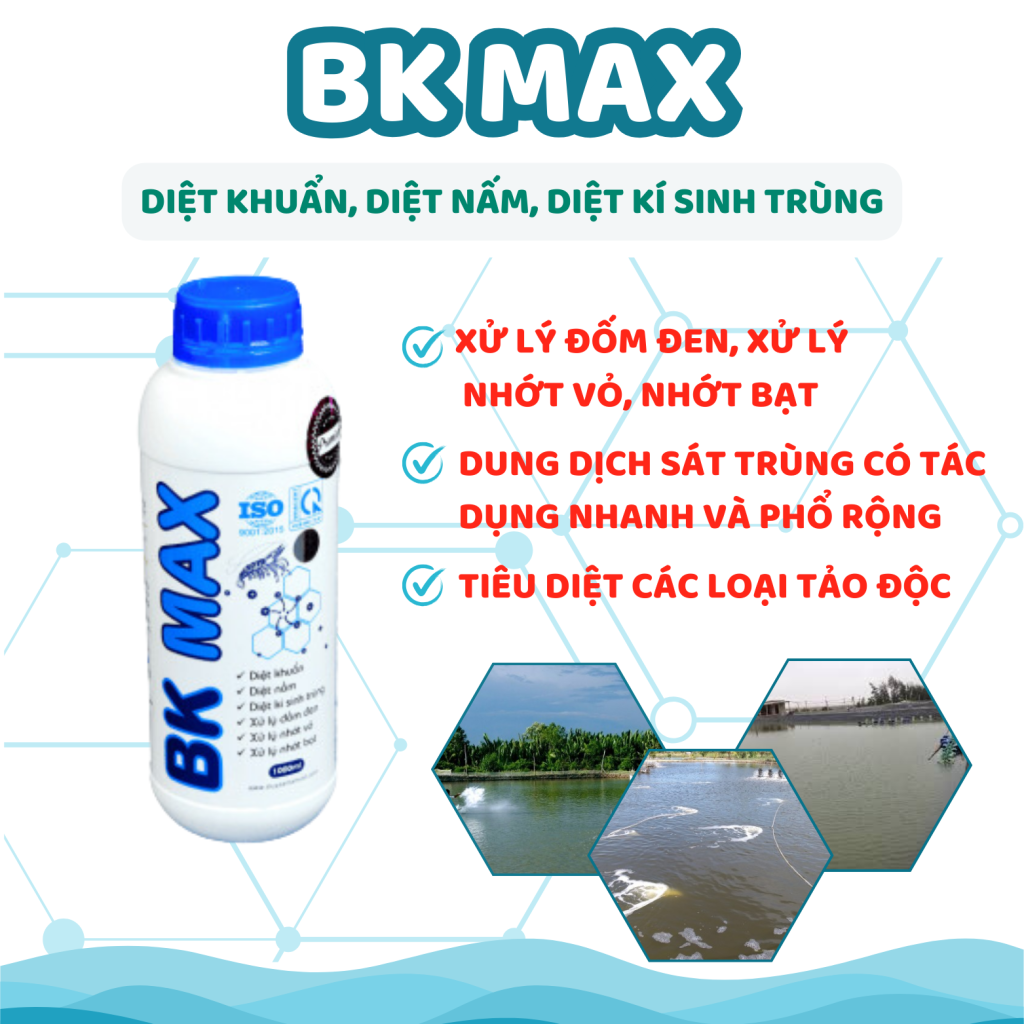 BK MAX