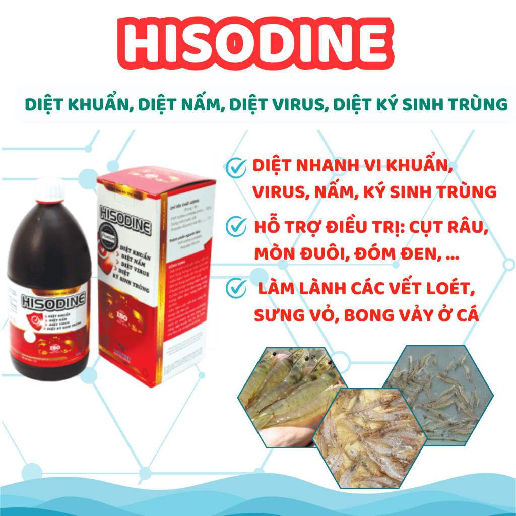 HISODINE