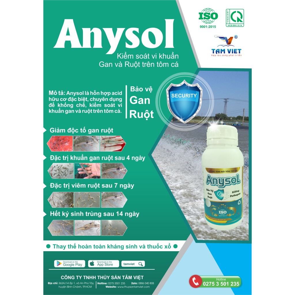 ANYSOL