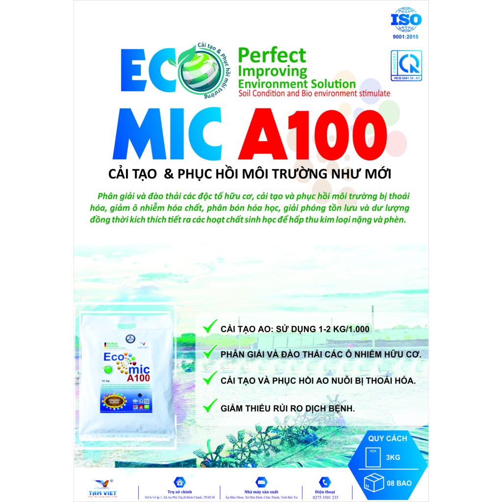 ECOMIC A100