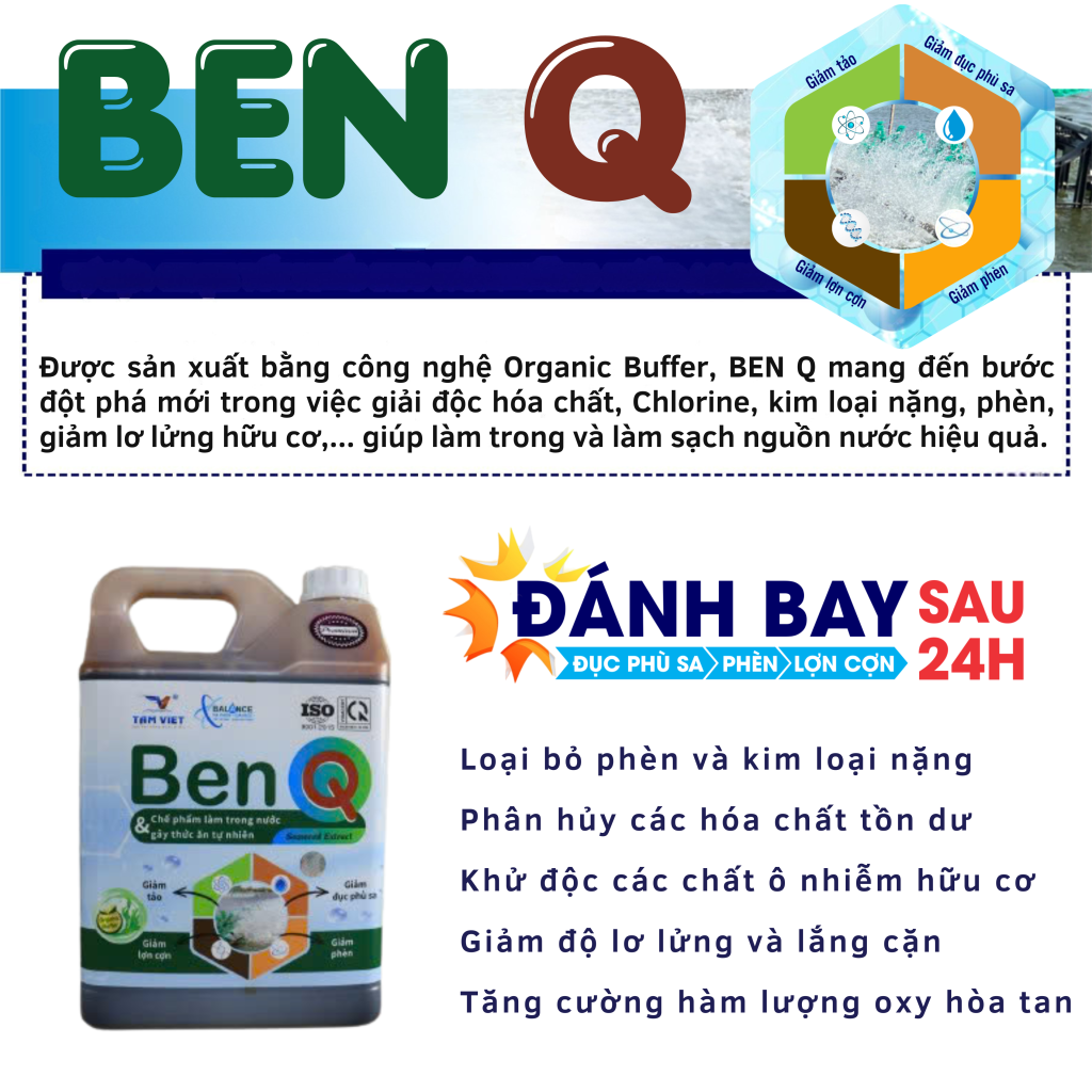 BEN Q