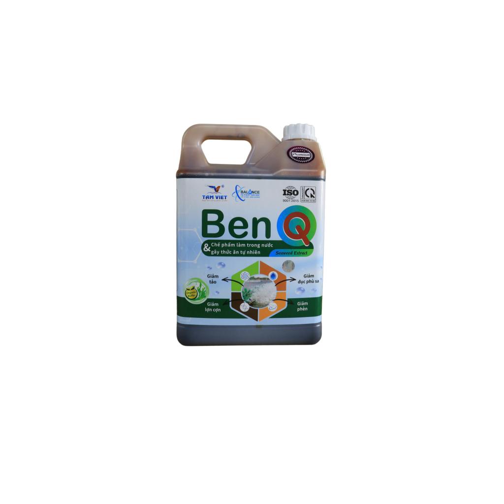 BEN Q