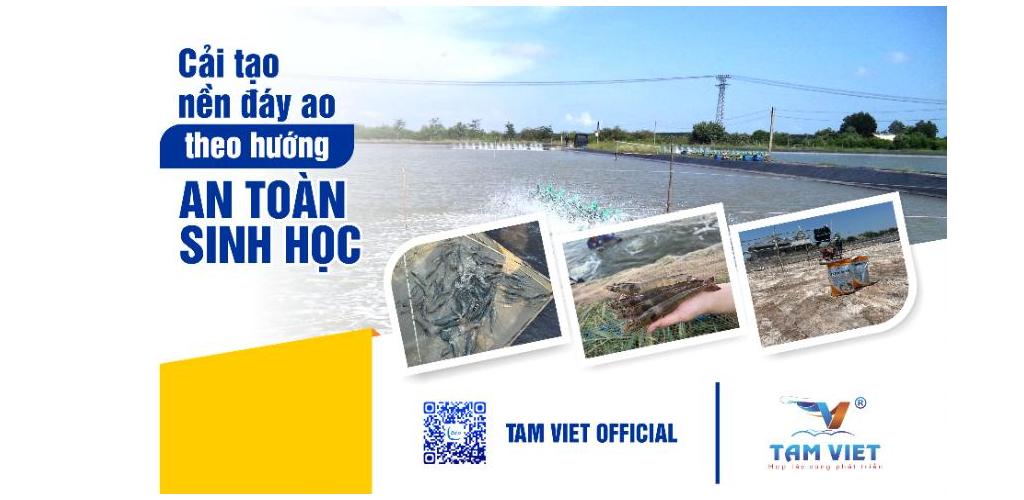 CẢI TẠO NỀN ĐÁY AO THEO HƯỚNG AN TOÀN SINH HỌC (Ao đất)