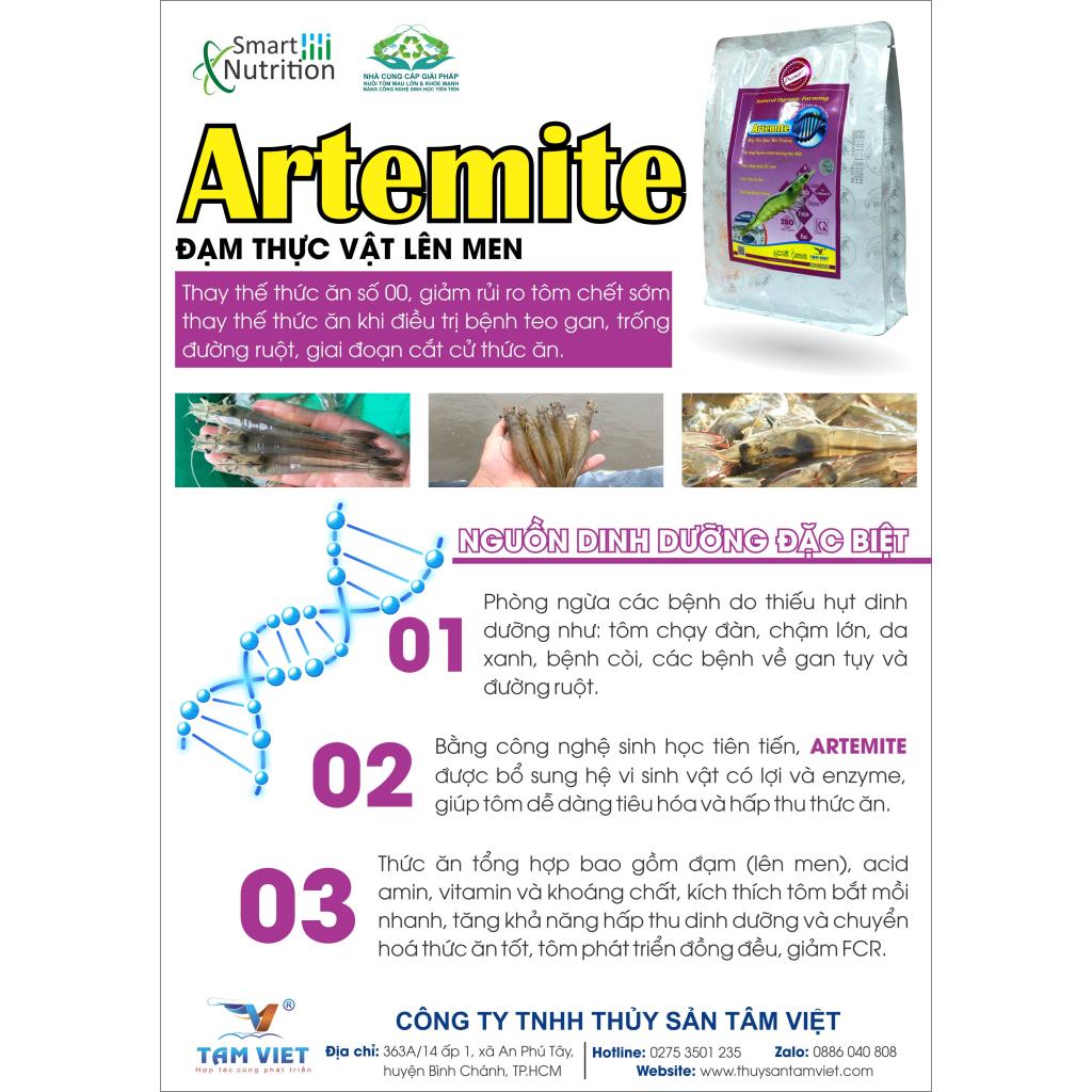 ARTEMITE