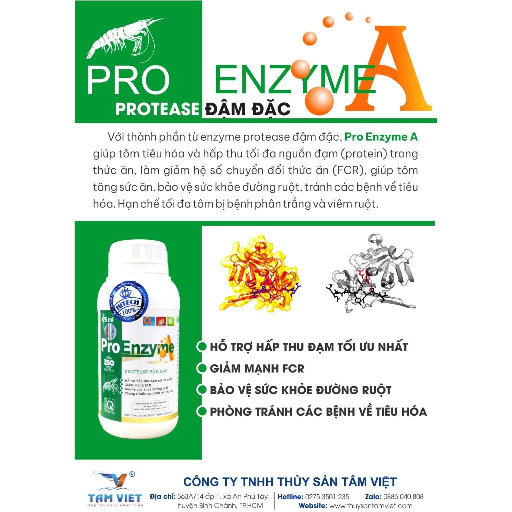 PRO ENZYME A