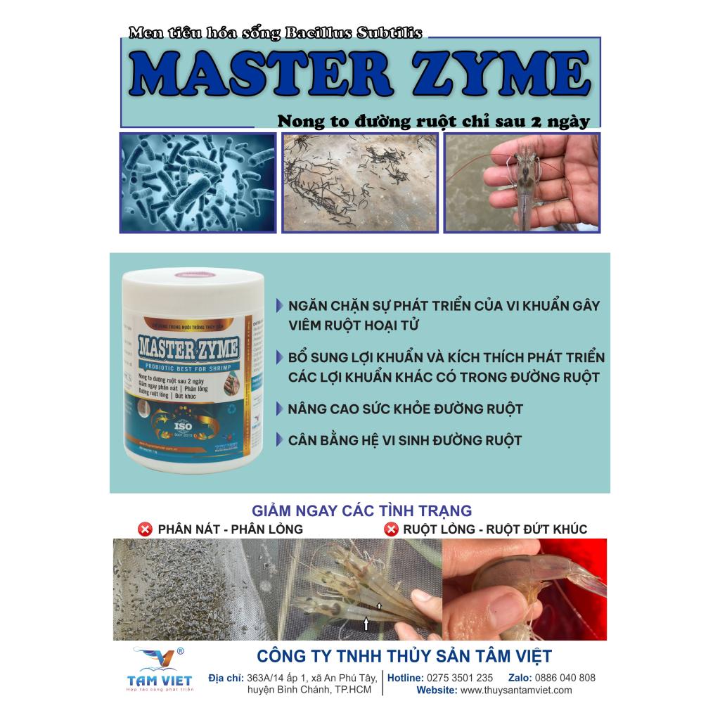 MASTER ZYME
