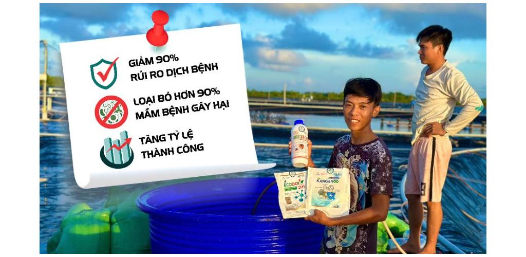 THUẦN TÔM VỚI VIBRIO CURB 300 - BƯỚC CHUẨN BỊ CHO VỤ NUÔI THÀNH CÔNG