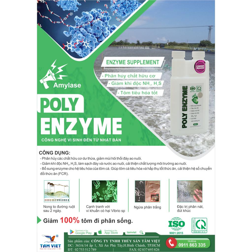 POLY ENZYME