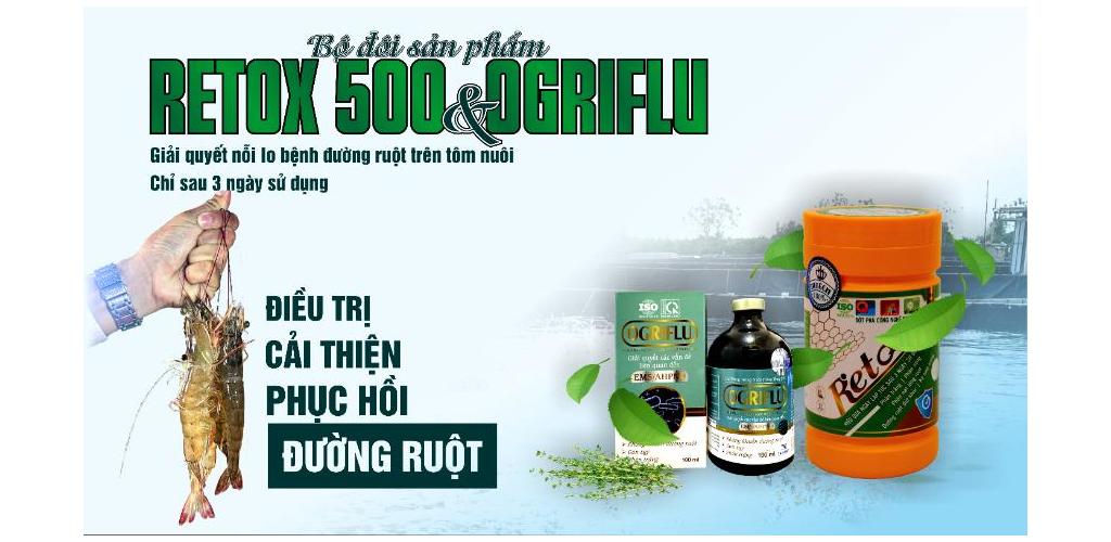GIẢI QUYẾT NỖI LO BỆNH ĐƯỜNG RUỘT TRÊN TÔM CHỈ TRONG 3 NGÀY CÙNG TÂM VIỆT