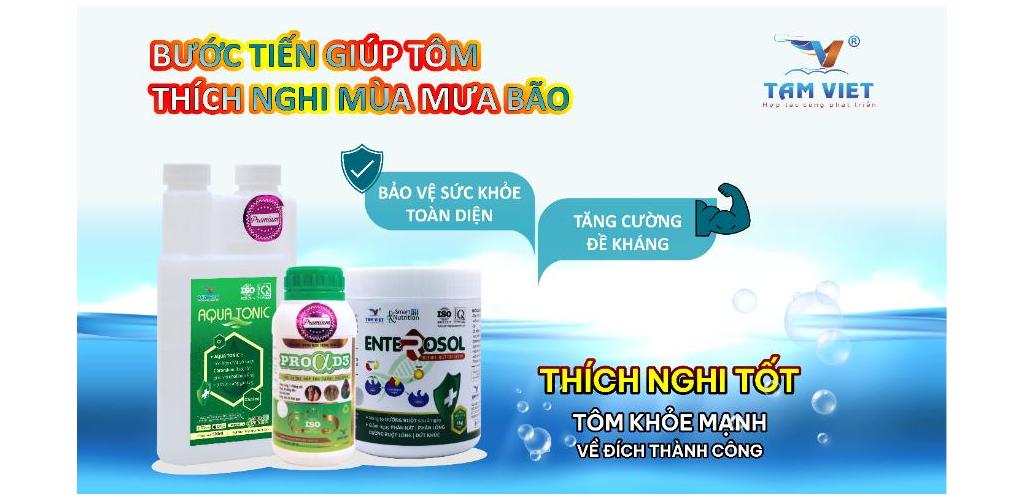 Mùa mưa luôn là thử thách lớn đối với người nuôi tôm. Bộ sản phẩm cần thiết bao gồm Enterosol, Pro alpha D3, AquaTonic chứa đầy đủ các khoáng chất thiết yếu, vitamin và probiotics, giúp tăng cường miễn dịch tối đa, đảm bảo năng suất cao trong mùa mưa bão.