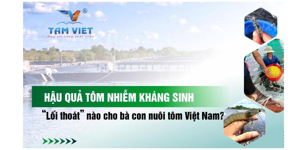 HẬU QUẢ TÔM NHIỄM KHÁNG SINH | “LỐI THOÁT” NÀO CHO BÀ CON NUÔI TÔM VIỆT NAM? HẬU QUẢ TÔM NHIỄM KHÁNG SINH | “LỐI THOÁT” NÀO CHO BÀ CON NUÔI TÔM VIỆT NAM?