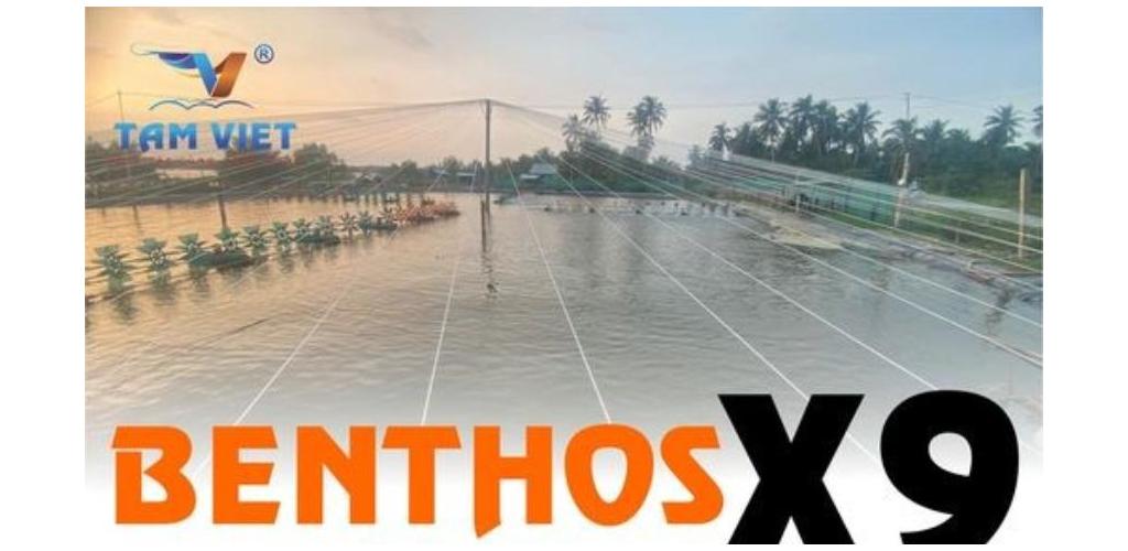 BÓN ĐÁY - CẢI TẠO AO BẰNG QUY TRÌNH BENTHOS BÓN ĐÁY - CẢI TẠO AO BẰNG QUY TRÌNH BENTHOS