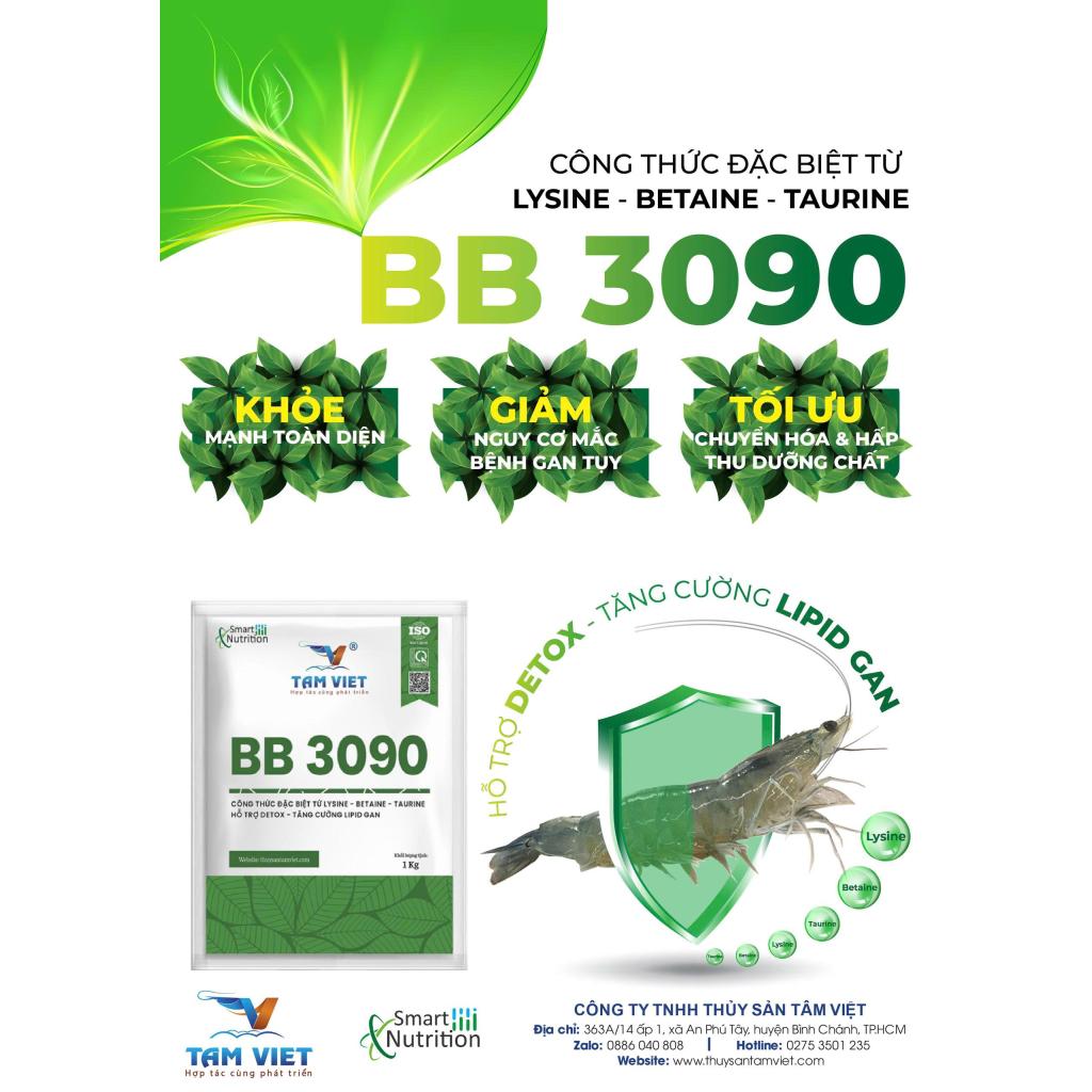 BB 3090