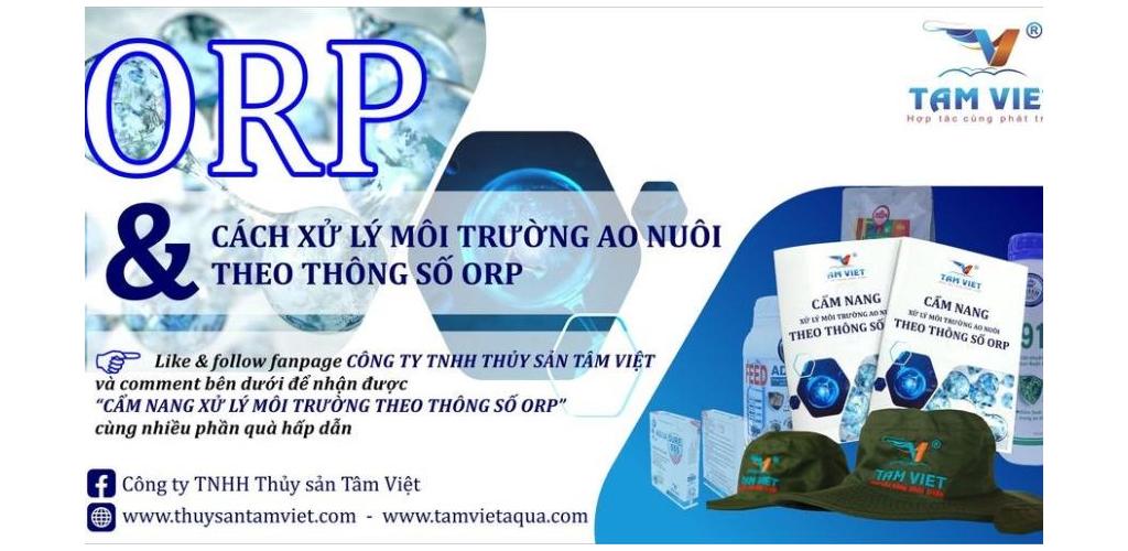 CHĂM SÓC MÔI TRƯỜNG AO NUÔI TÔM: VAI TRÒ QUAN TRỌNG CỦA CHỈ SỐ ORP CHĂM SÓC MÔI TRƯỜNG AO NUÔI TÔM: VAI TRÒ QUAN TRỌNG CỦA CHỈ SỐ ORP