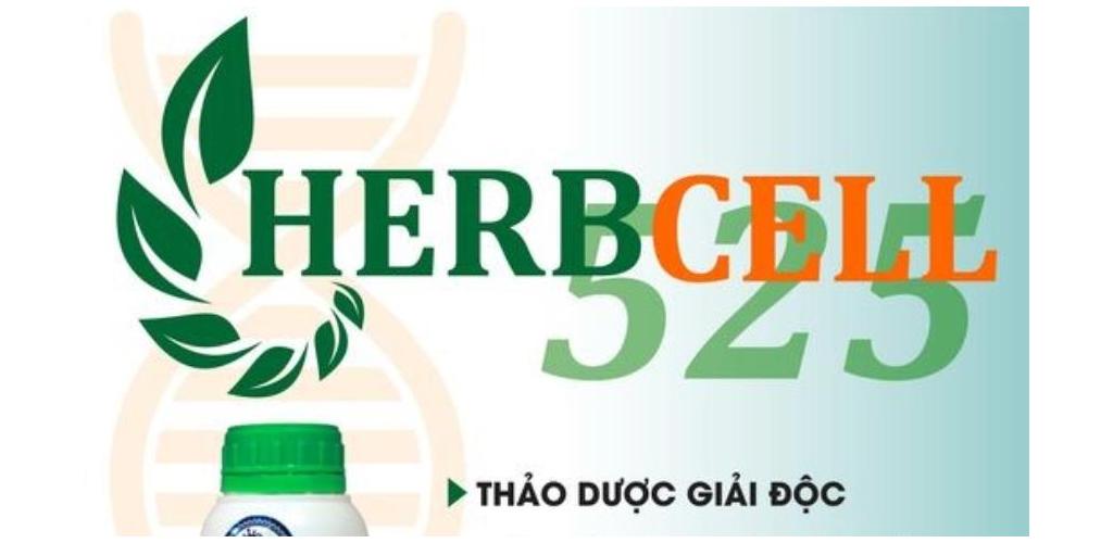 SIÊU PHẨM HERB CELL 525 - CHIẾT XUẤT THẢO DƯỢC – BẢO VỆ VÀ NÂNG CAO SỨC KHỎE GAN TỤY TÔM SIÊU PHẨM HERB CELL 525 - CHIẾT XUẤT THẢO DƯỢC – BẢO VỆ VÀ NÂNG CAO SỨC KHỎE GAN TỤY TÔM