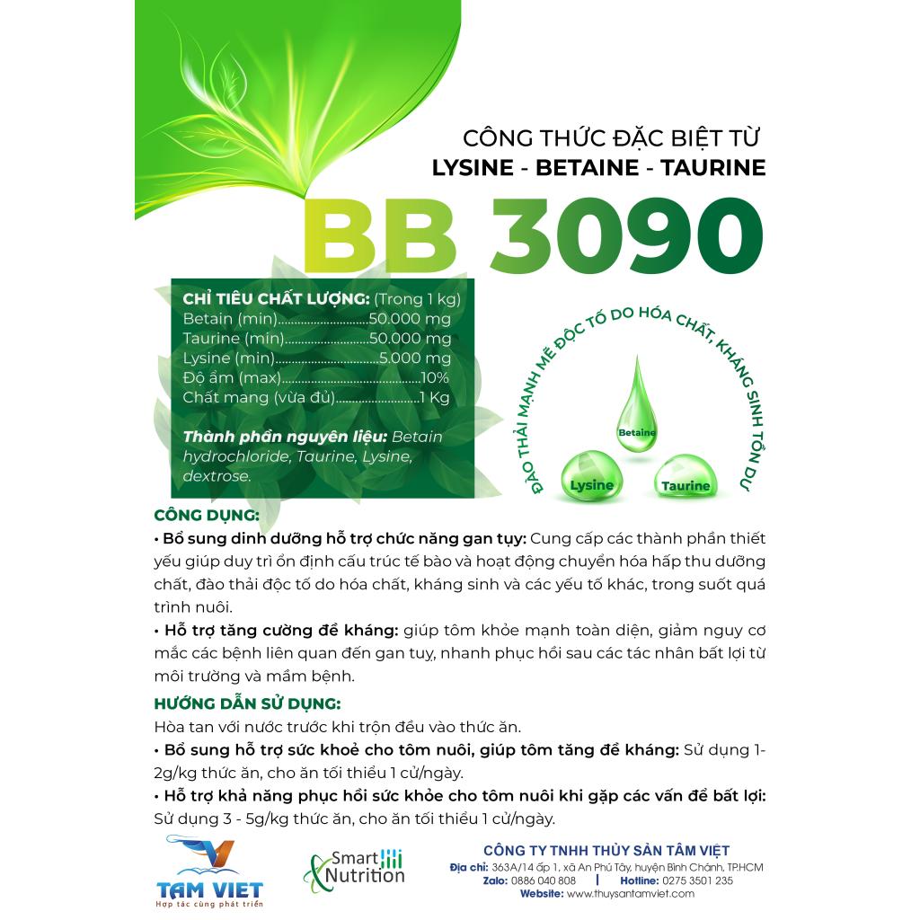 BB 3090