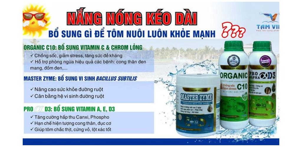 SỐC NHIỆT, SỐC THAY ĐỔI THỜI TIẾT MÙA MƯA?