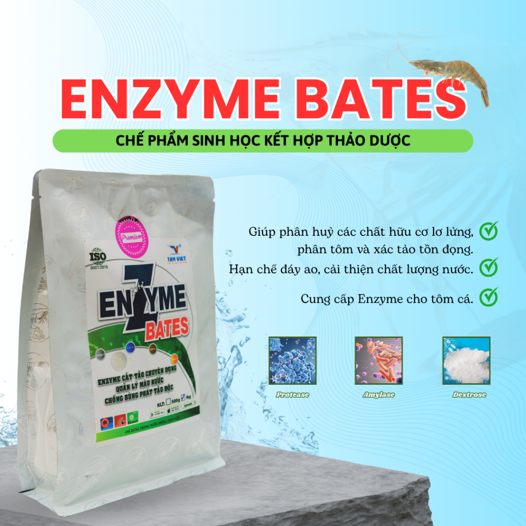 ENZYME BATES