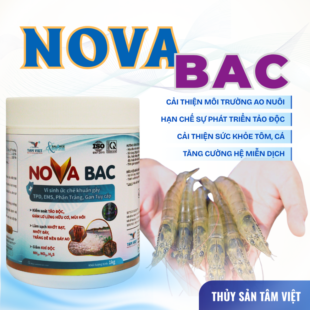 NOVA BAC
