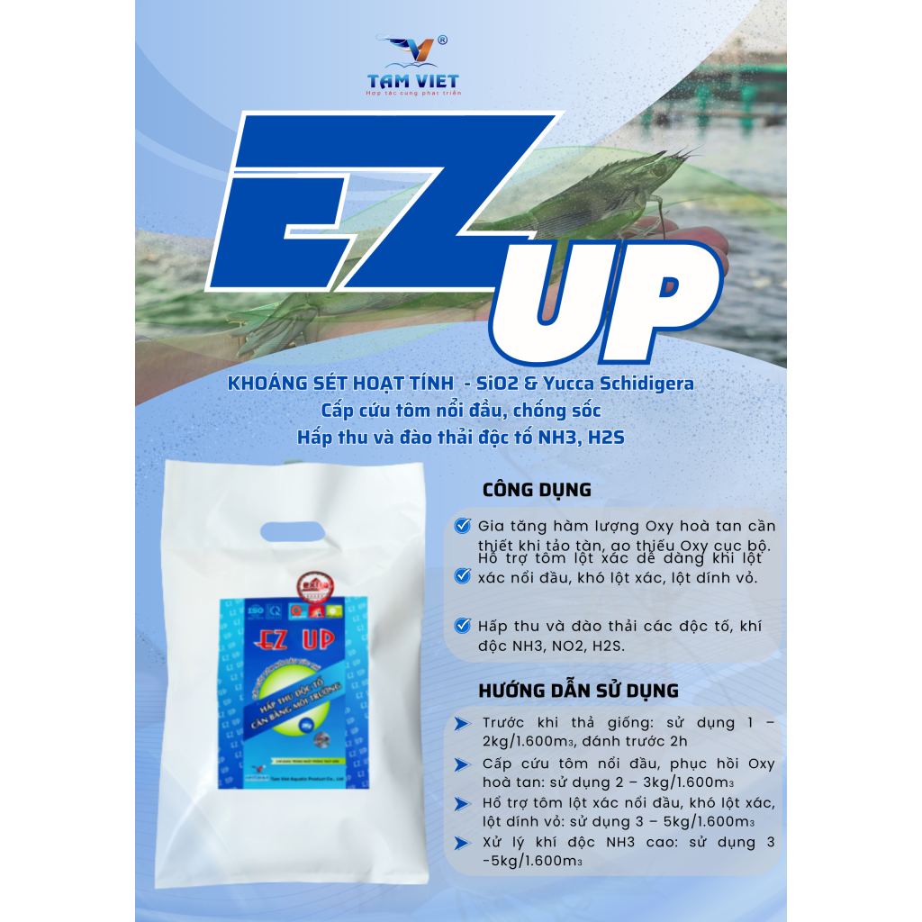 EZ UP