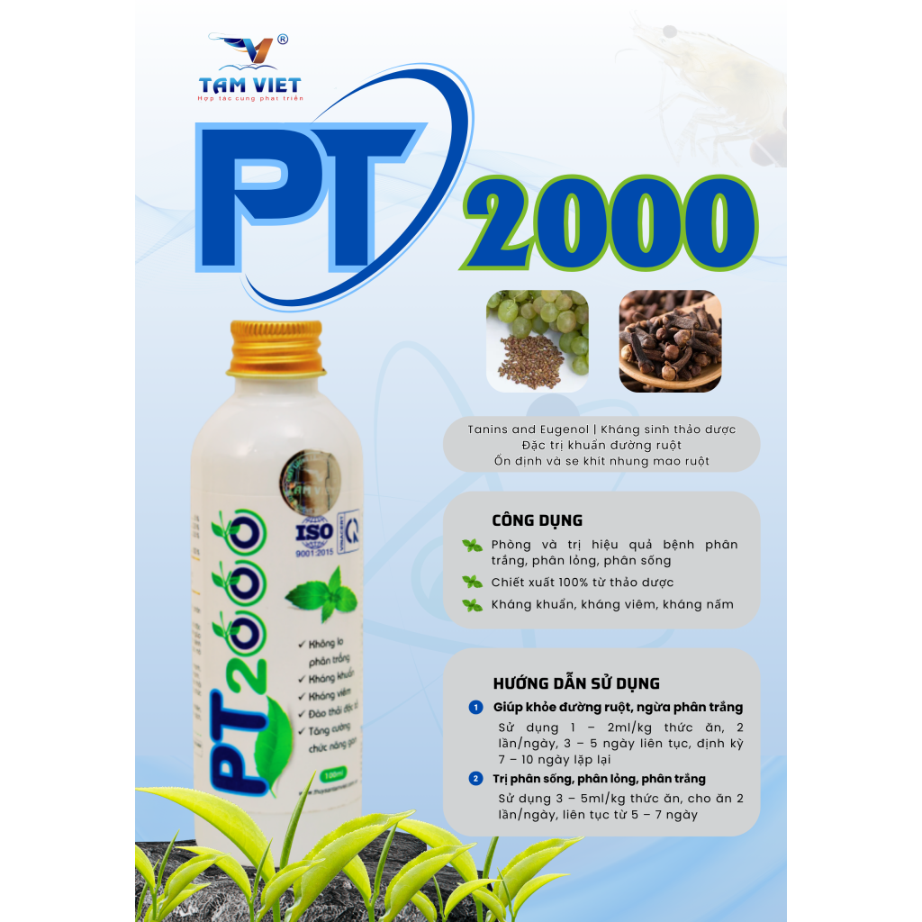 PT 2000