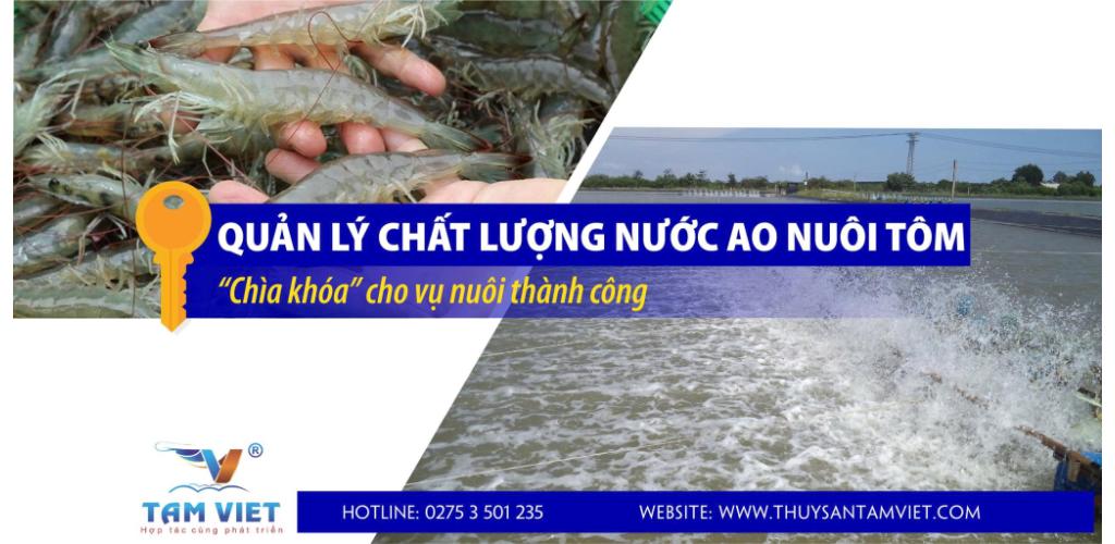QUẢN LÝ CHẤT LƯỢNG NƯỚC AO NUÔI TÔM - CHÌA KHÓA CHO VỤ NUÔI THÀNH CÔNG
