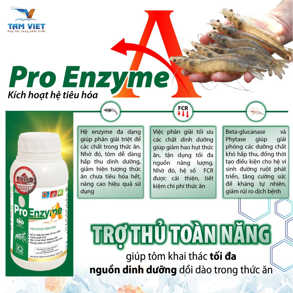 PRO ENZYME A