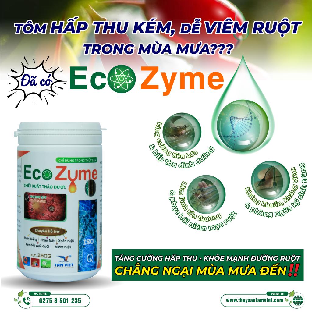 ECOZYME