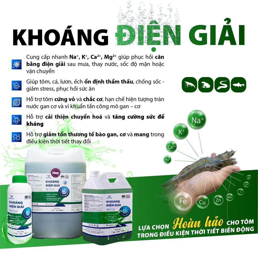 KHOÁNG ĐIỆN GIẢI