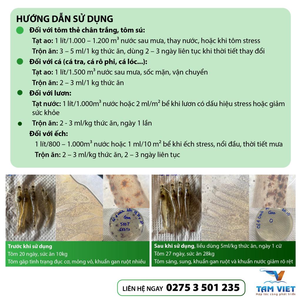 KHOÁNG ĐIỆN GIẢI