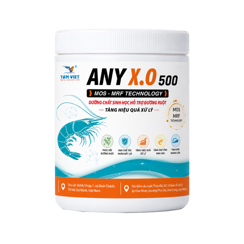 ANY X.O 500
