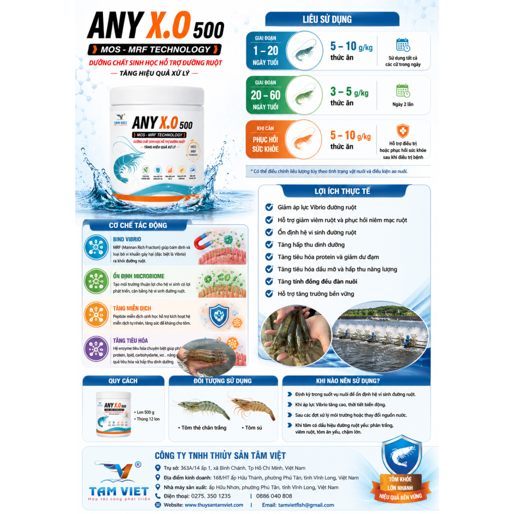 ANY X.O 500