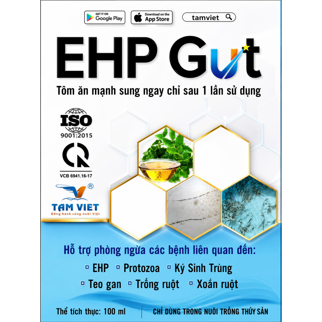 EHP GUT