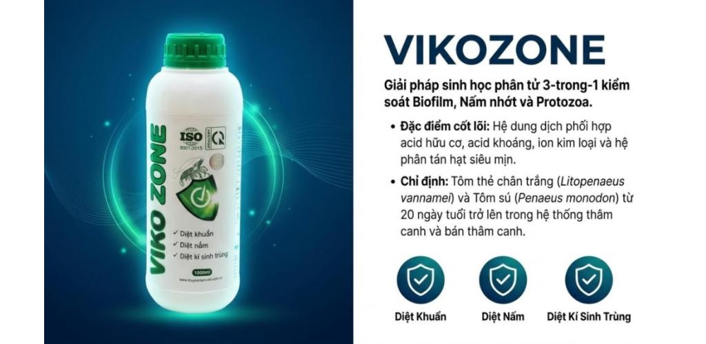 KIỂM SOÁT NẤM: CƠ CHẾ TÁC ĐỘNG ĐA TẦNG CỦA VIKOZONE TRONG KIỂM SOÁT NẤM - BIOFILM VÀ ĐỘNG VẬT NGUYÊN SINH