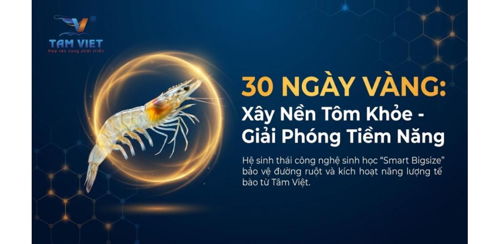 30 NGÀY VÀNG: TẠI SAO "XÂY NỀN" LẠI QUAN TRỌNG HƠN "CHỮA BỆNH" TRONG NUÔI TÔM HIỆN ĐẠI?