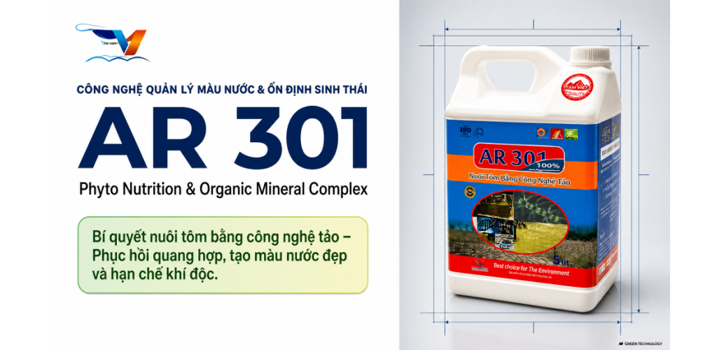 BÍ QUYẾT QUẢN LÝ AO NUÔI BẰNG CÔNG NGHỆ TẢO: KHI "MÀU NƯỚC" LÀ NGHỆ THUẬT VÀ KHOA HỌC