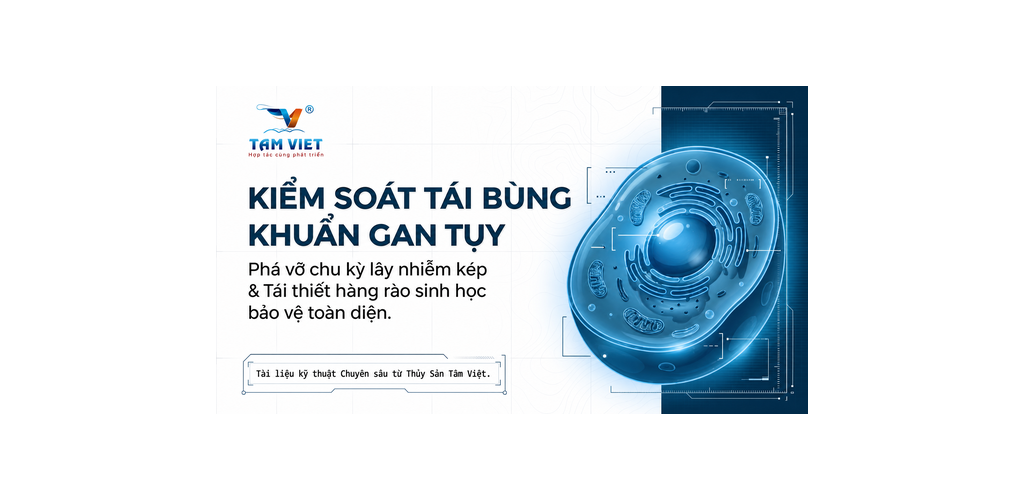 KIỂM SOÁT CHU KỲ TÁI BÙNG KHUẨN GAN TỤY TRÊN TÔM: CHIẾN LƯỢC ĐÁNH CHẶN KÝ SINH TRÙNG VÀ PHỤC HỒI BIỂU MÔ
