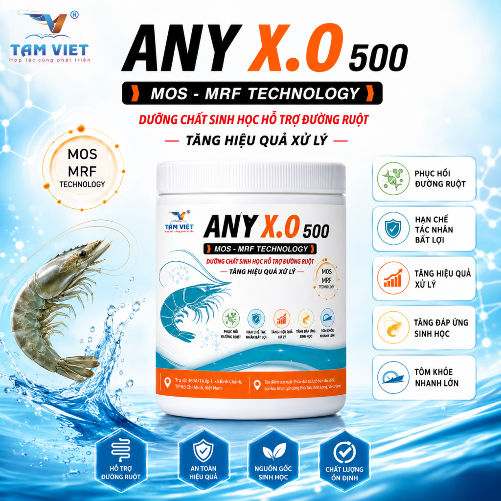 ANY X.O 500