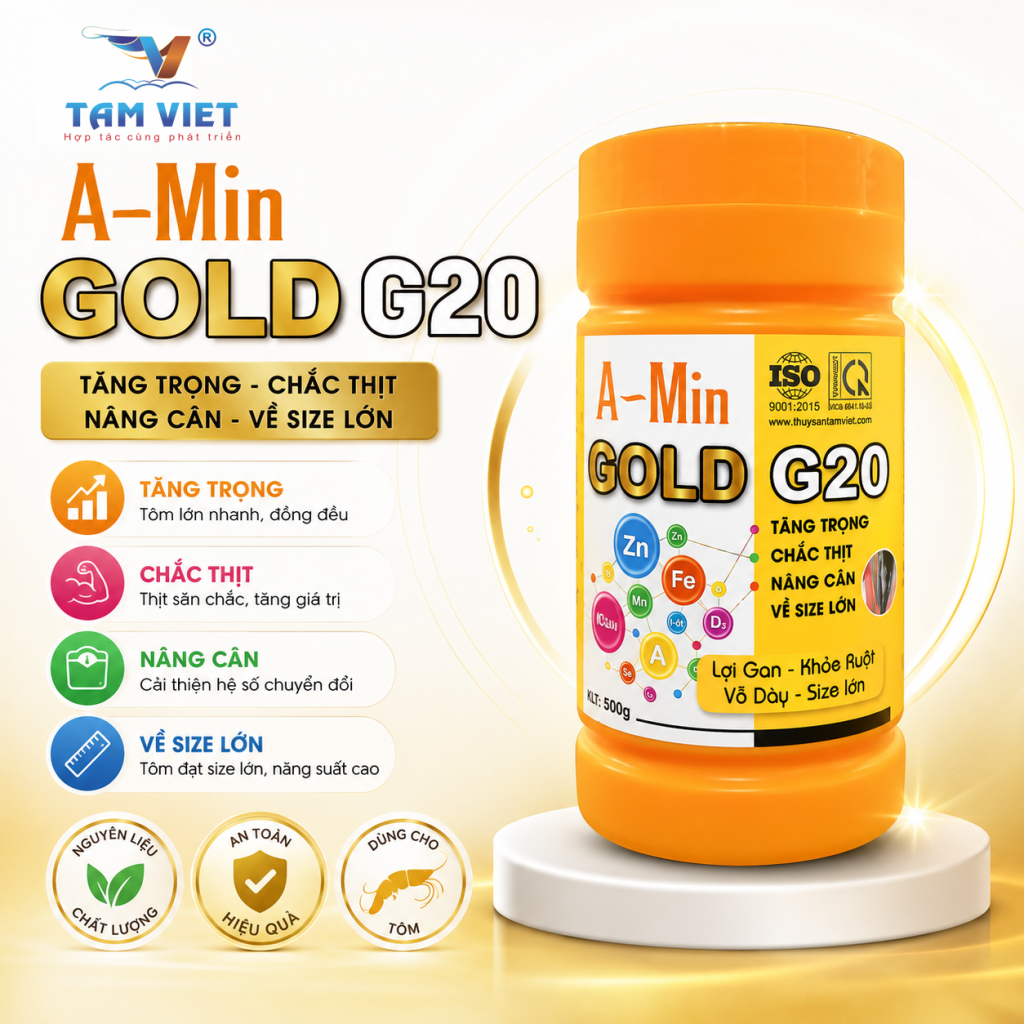 AMIN GOLD G20